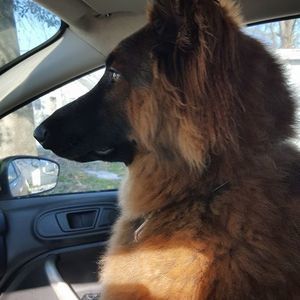 Meet your Posher, Rita